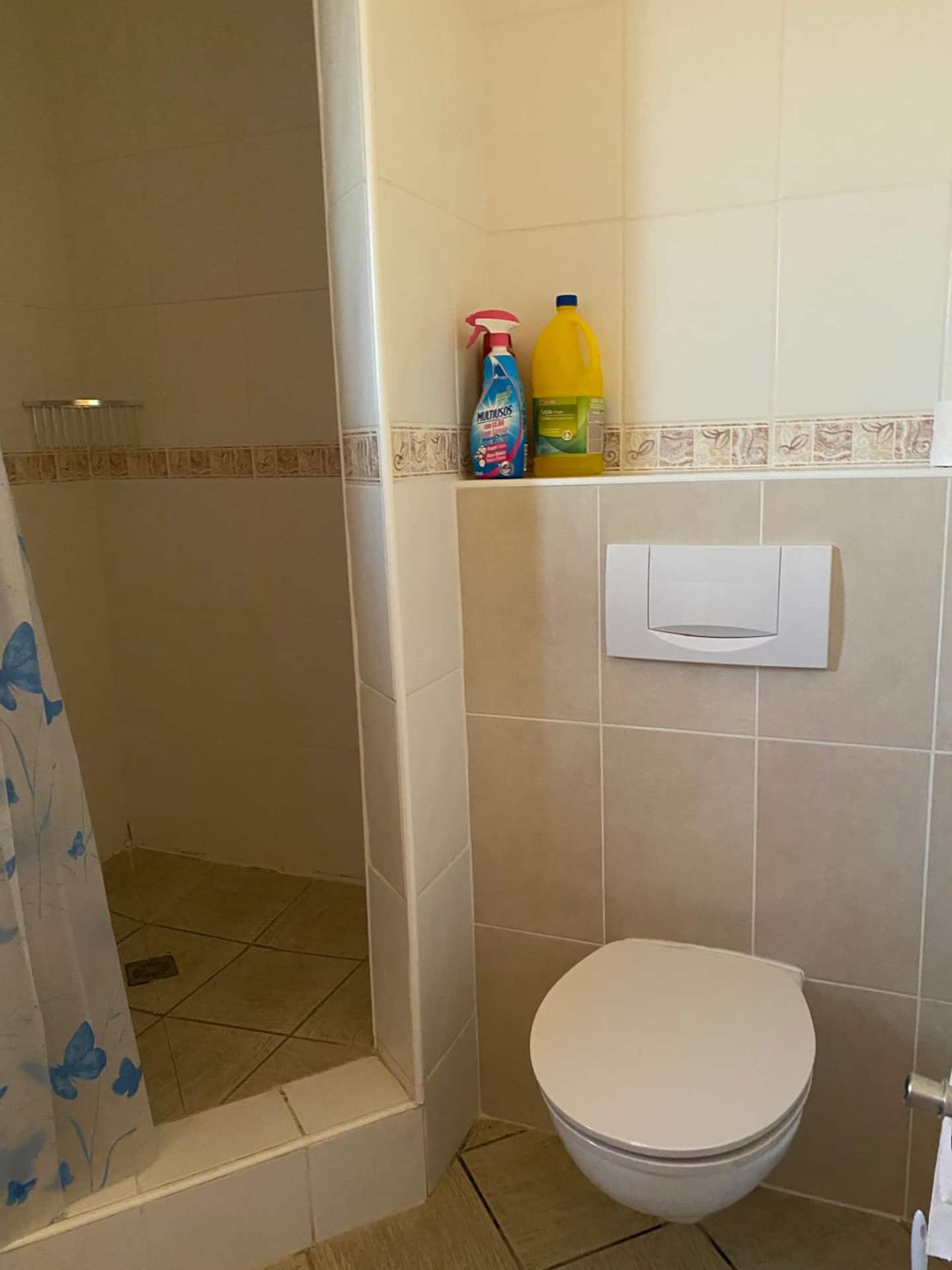 First-floor bathroom with toilet and shower